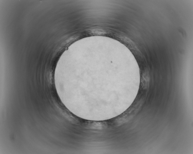 X0000110930330200907301629