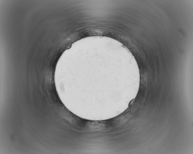 X0000110930331200907301629