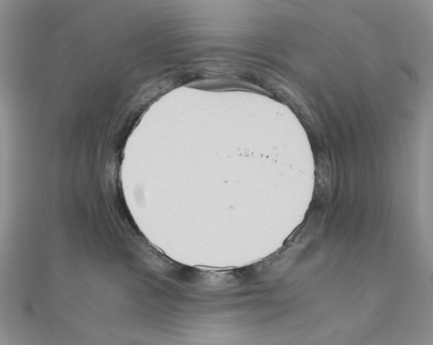 X0000110930333200907301629
