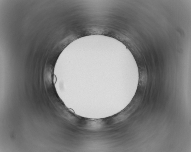 X0000110930334200907301629