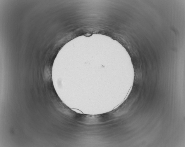 X0000110930335200907301629