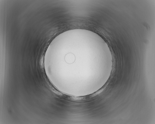 X0000110930336200907301629