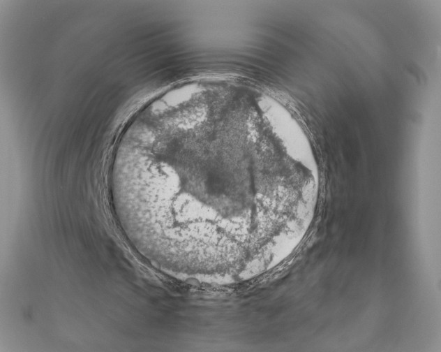 X0000110930337200907301628