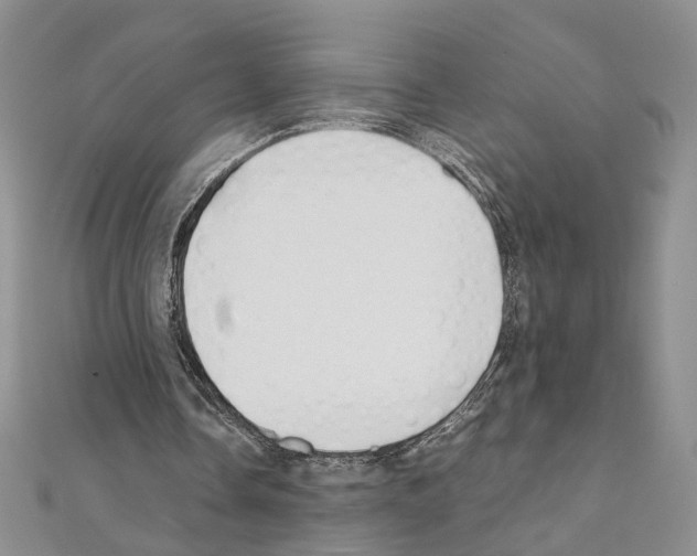 X0000110930338200907301628