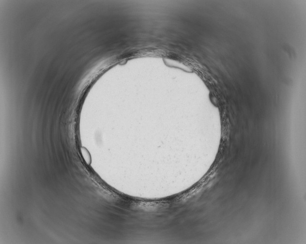 X0000110930341200907301628