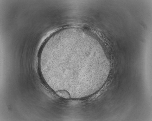 X0000110930342200907301628