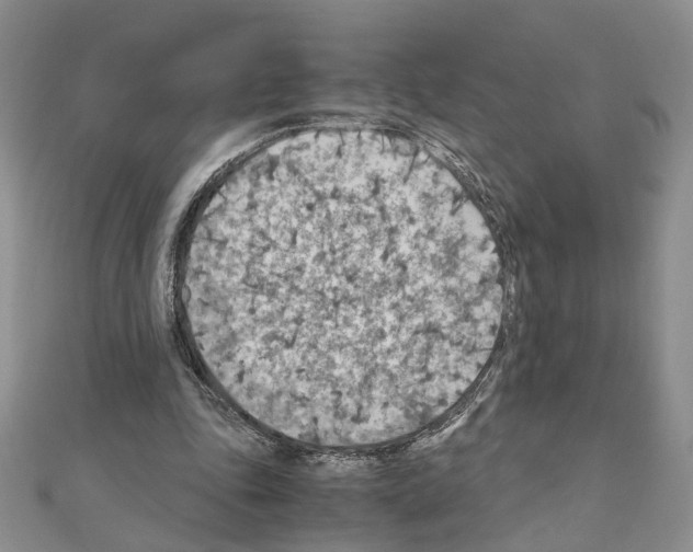 X0000110930343200907301628