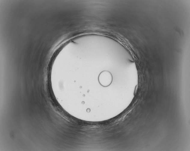 X0000110930344200907301628