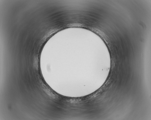 X0000110930345200907301628