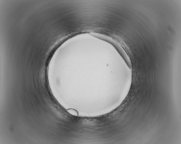 X0000110930346200907301628