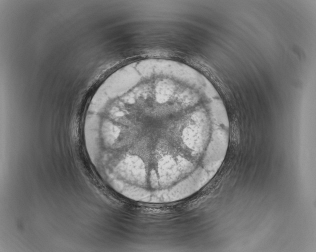 X0000110930347200907301628