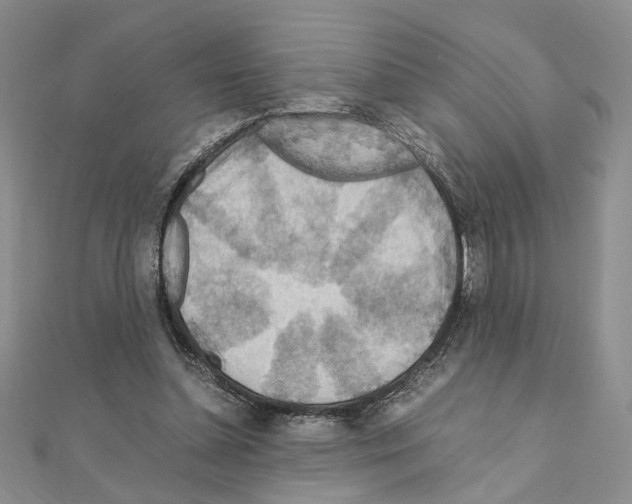 X0000110930348200907301628