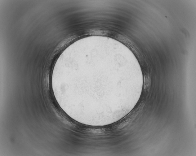 X0000110930349200907301628