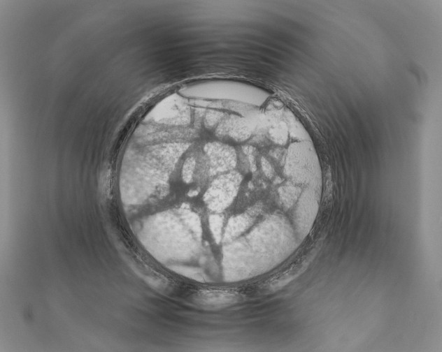 X0000110930351200907301628