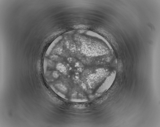 X0000110930353200907301628
