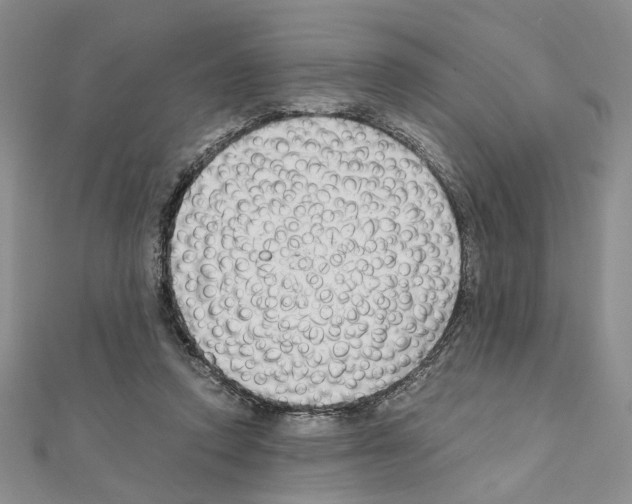 X0000110930354200907301628