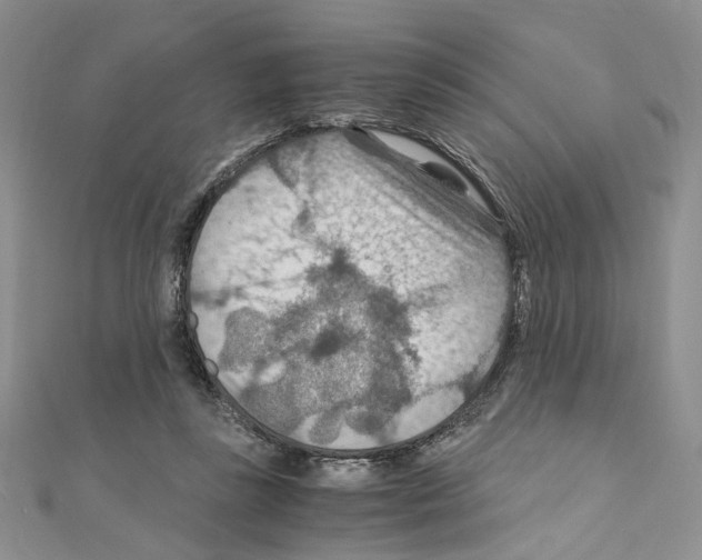 X0000110930355200907301628