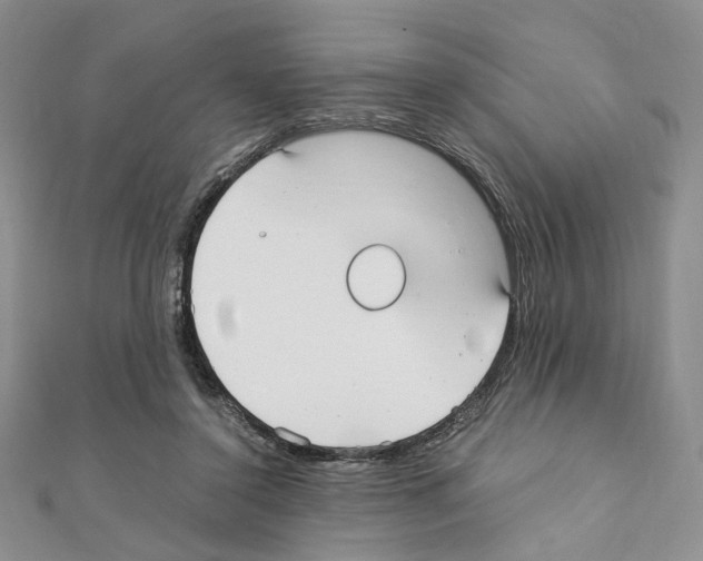 X0000110930356200907301628