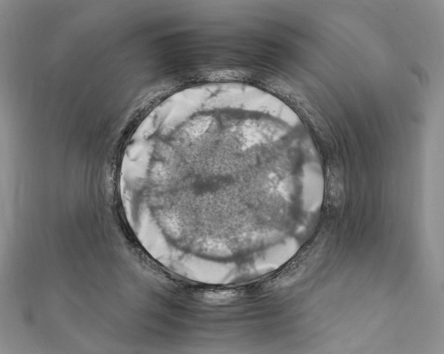 X0000110930357200907301628