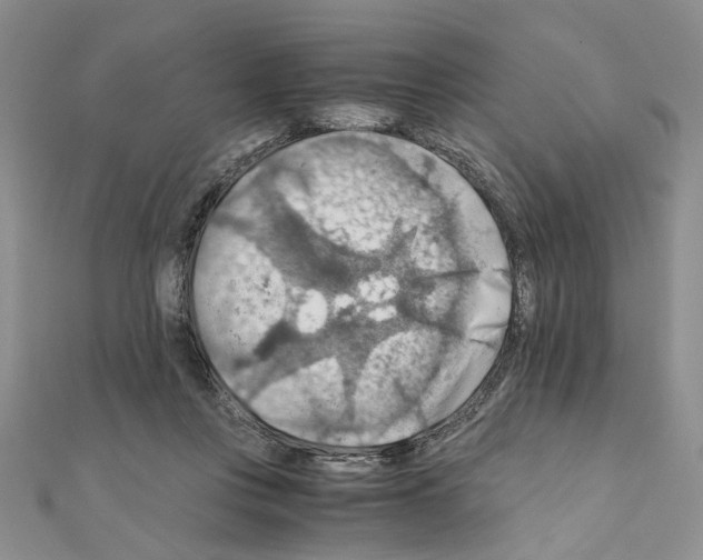 X0000110930359200907301628