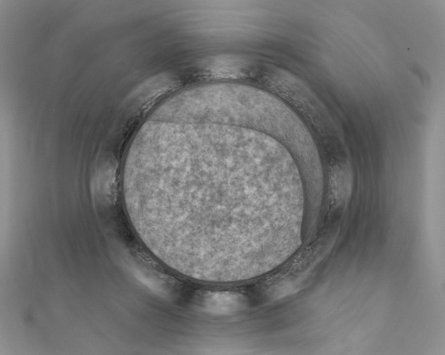 X0000110930360200907301628