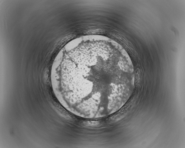 X0000110930361200907301628