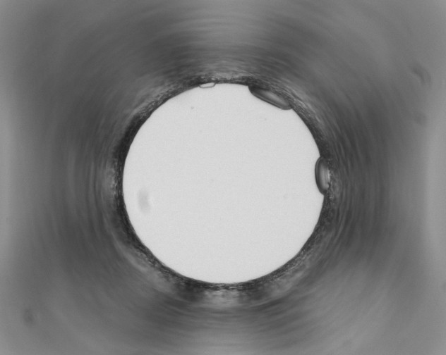 X0000110930362200907301628