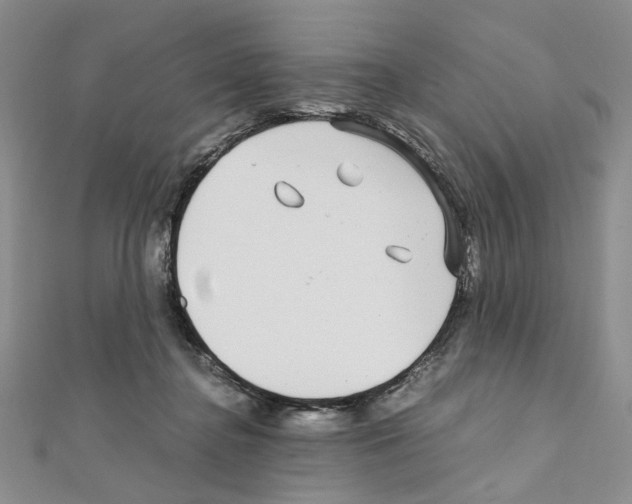 X0000110930364200907301628