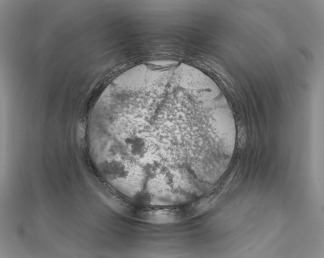 X0000110930365200907301628