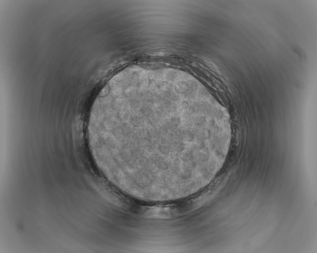 X0000110930366200907301628