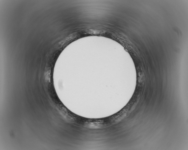 X0000110930368200907301628