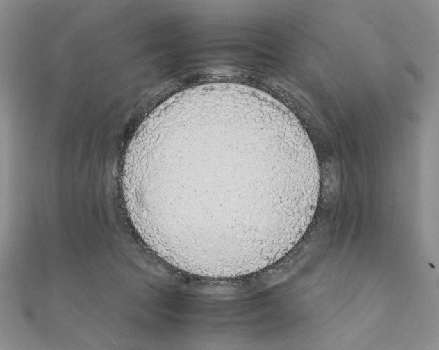 X0000110930369200907301628