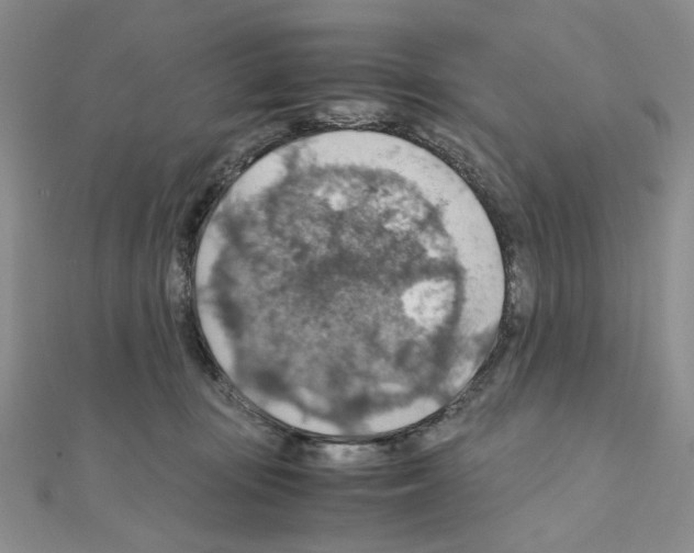 X0000110930371200907301628