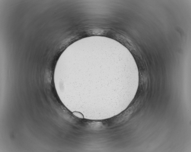 X0000110930374200907301628