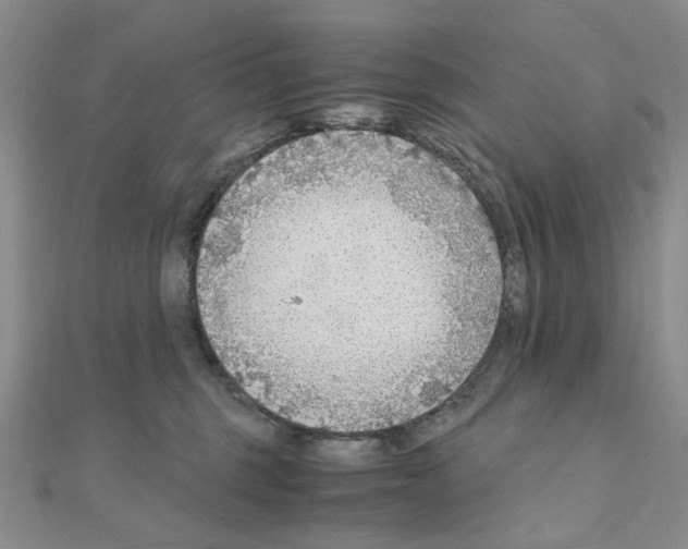 X0000110930375200907301628