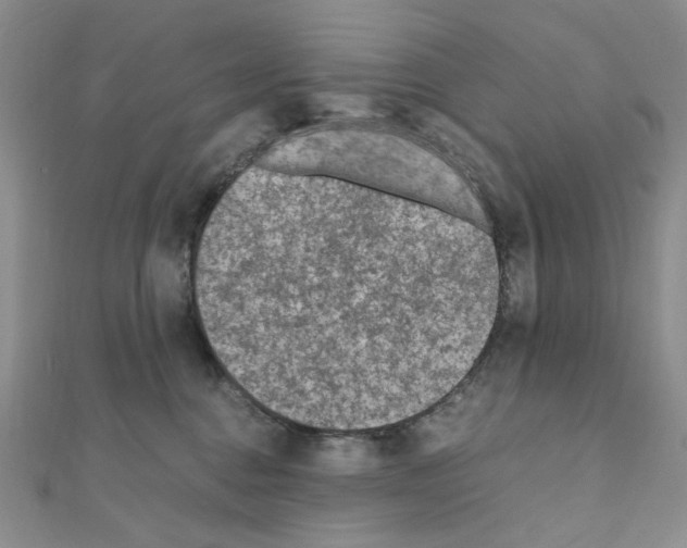 X0000110930376200907301628