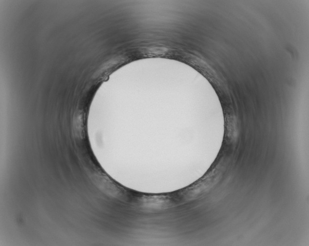 X0000110930378200907301628