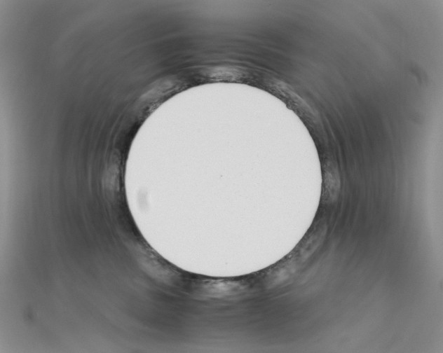 X0000110930379200907301628
