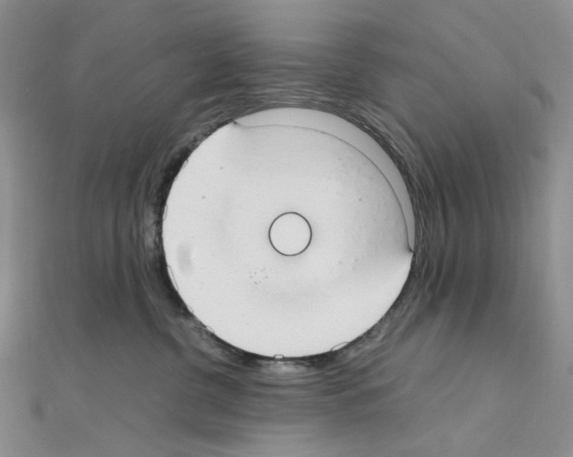 X0000110930380200907301628