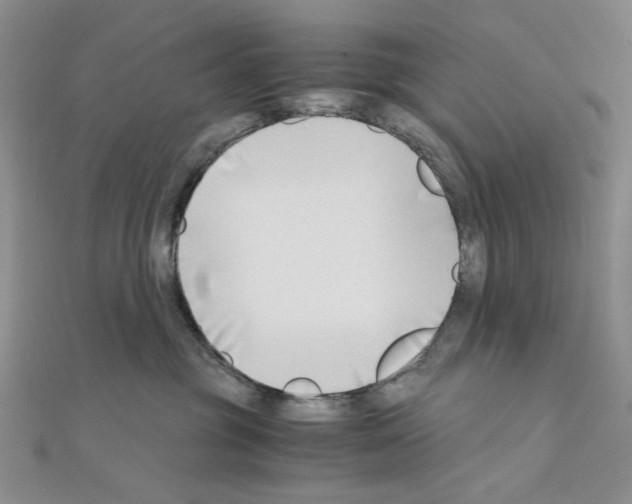 X0000110930381200907301628