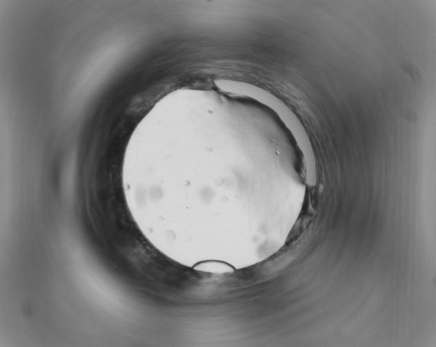 X0000110930382200907301628