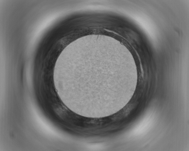 X0000110930383200907301628