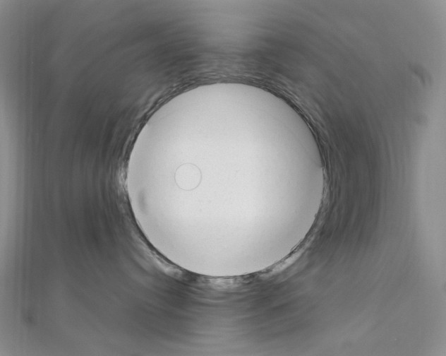 X0000110930384200907301629