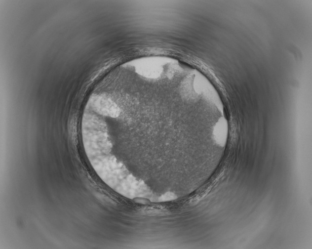 X0000110930386200907301628