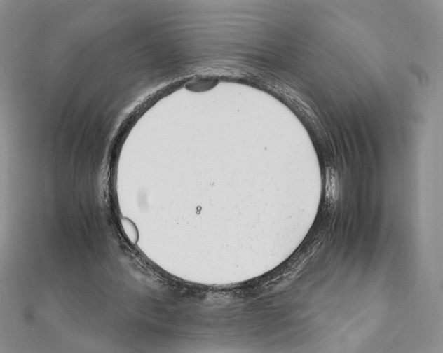 X0000110930388200907301628