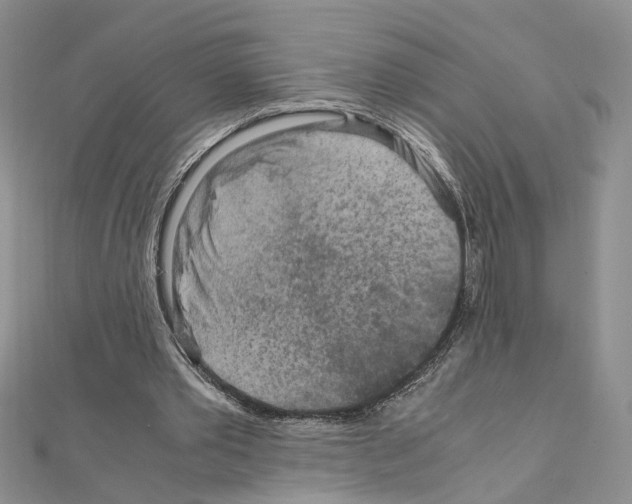 X0000110930389200907301628