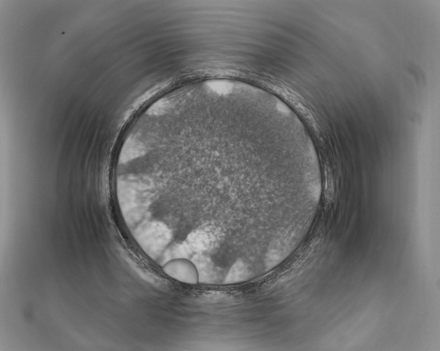 X0000110930390200907301628