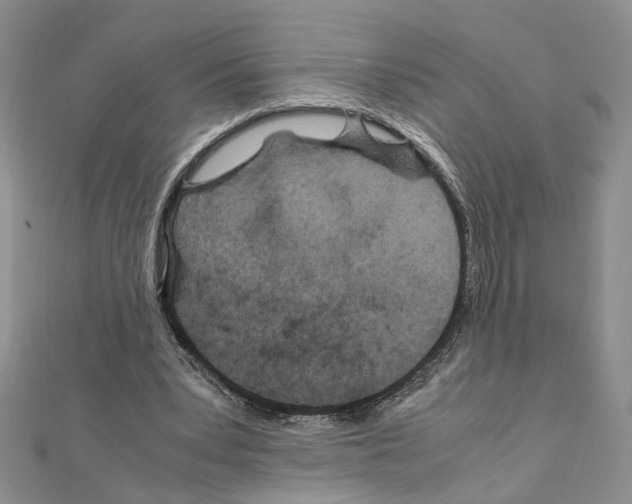 X0000110930391200907301628