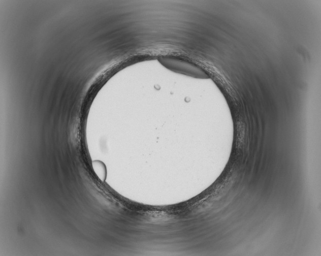 X0000110930392200907301628