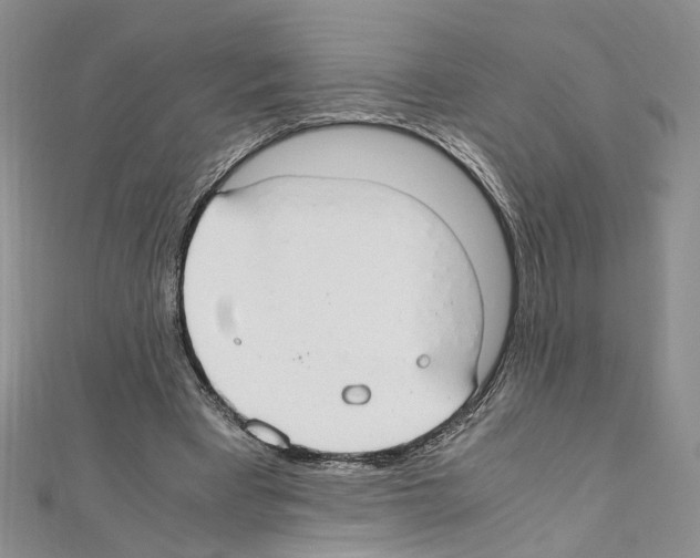 X0000110930393200907301628